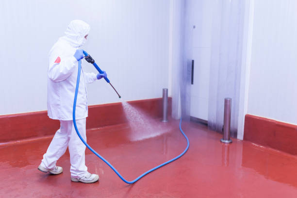 Best Pre-Holiday Cleaning  in Rapids, NY